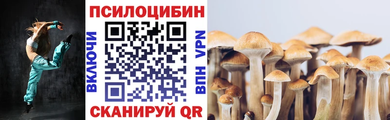 Галлюциногенные грибы ЛСД  Черноголовка 